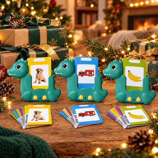 Three Dino talking flash card sets as Christmas gifts